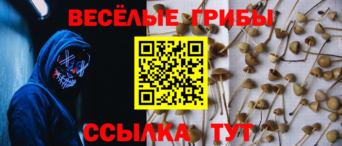 Псилоцибиновые грибы Psilocybine cubensis Серов