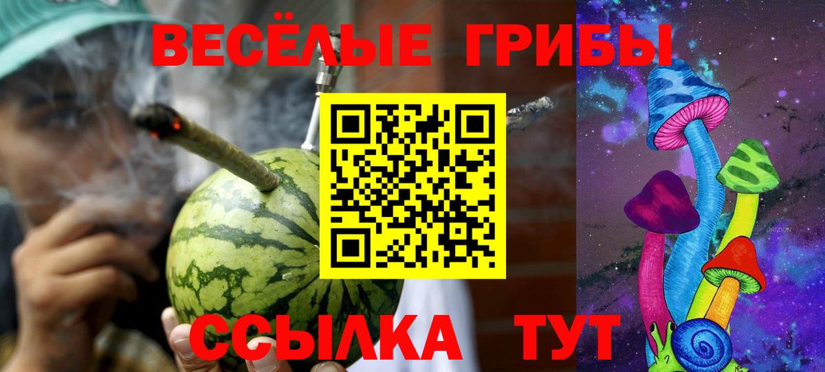 Псилоцибиновые грибы GOLDEN TEACHER  Вход с VPN  Серов  Галлюциногенные грибы Magic Shrooms 